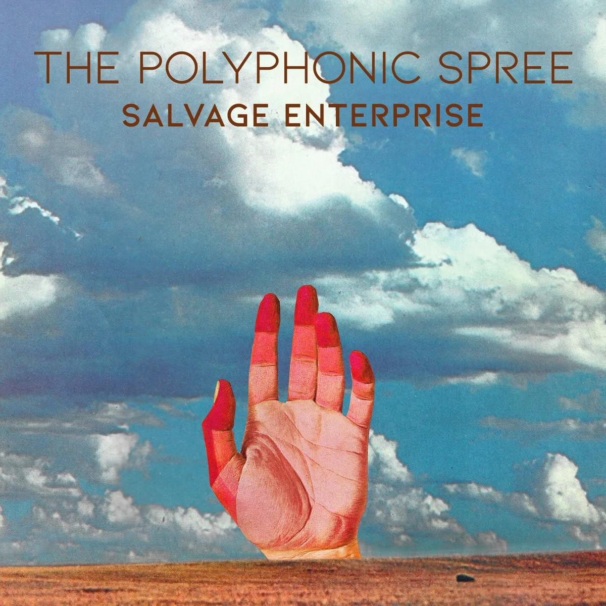 The+Polyphonic+Spree+-+Salvage